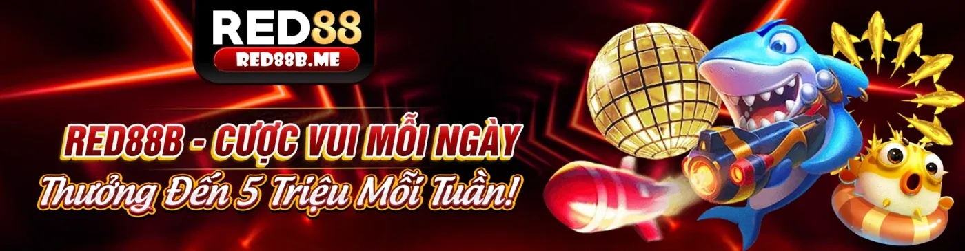 Đá gà trực tuyến 555win tài