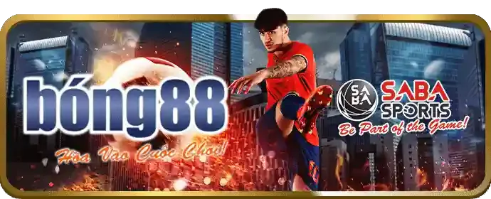 Bước 3: Xác minh và đồng ý điều khoản